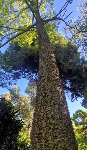  - 2024 Gradina botanica Cagliari