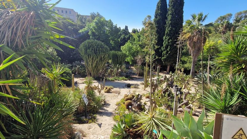  - 2024 Gradina botanica Cagliari