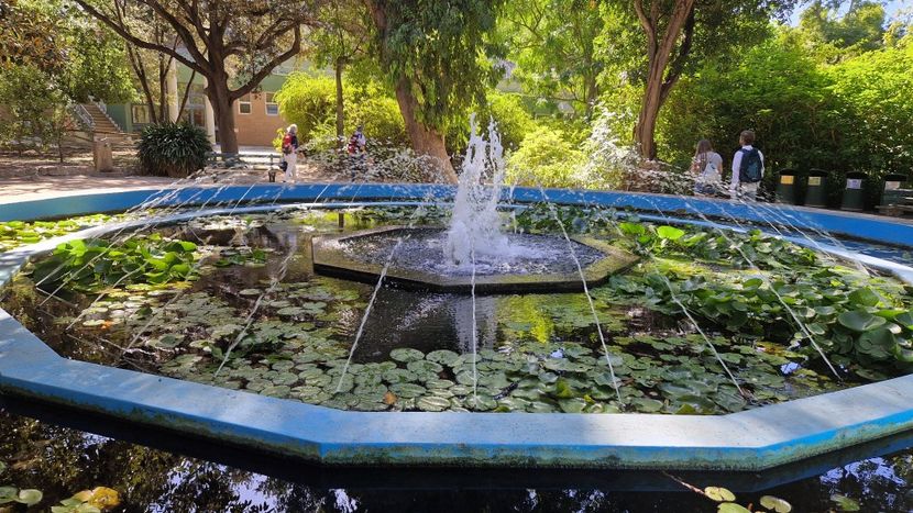  - 2024 Gradina botanica Cagliari