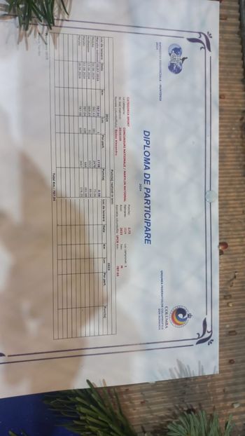 IMG-20241221-WA0010 - 21-12-2024-EXPOZITIE PROVINCIALA OLTENIA-MUNTENIA-COLUMBA CARACAL