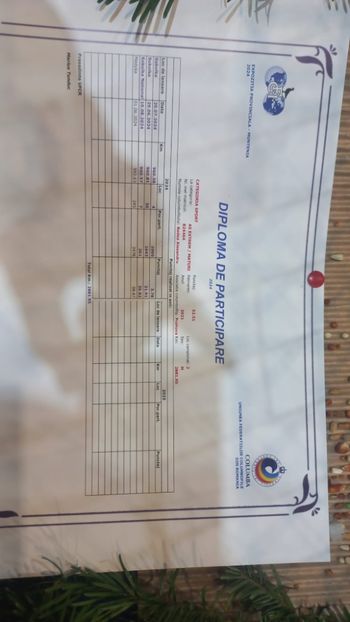 IMG-20241221-WA0011 - 21-12-2024-EXPOZITIE PROVINCIALA OLTENIA-MUNTENIA-COLUMBA CARACAL