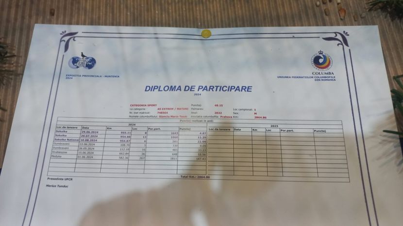 IMG-20241221-WA0015 - 21-12-2024-EXPOZITIE PROVINCIALA OLTENIA-MUNTENIA-COLUMBA CARACAL