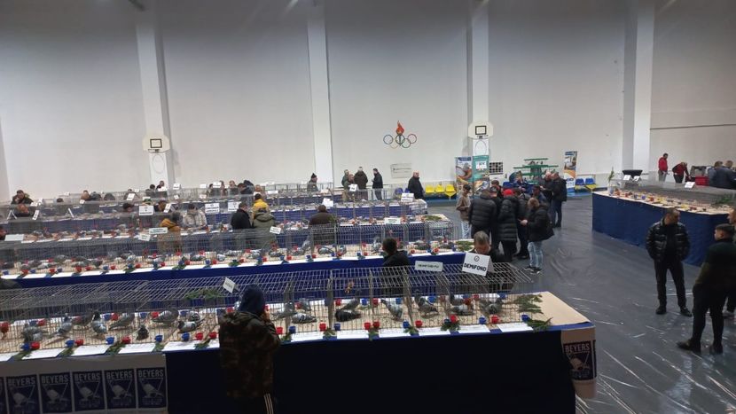 IMG-20241221-WA0061 - 21-12-2024-EXPOZITIE PROVINCIALA OLTENIA-MUNTENIA-COLUMBA CARACAL