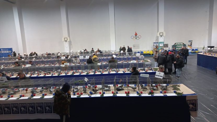 IMG-20241221-WA0062 - 21-12-2024-EXPOZITIE PROVINCIALA OLTENIA-MUNTENIA-COLUMBA CARACAL