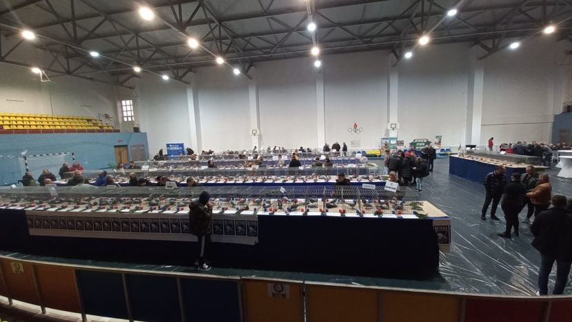 IMG-20241221-WA0063 - 21-12-2024-EXPOZITIE PROVINCIALA OLTENIA-MUNTENIA-COLUMBA CARACAL