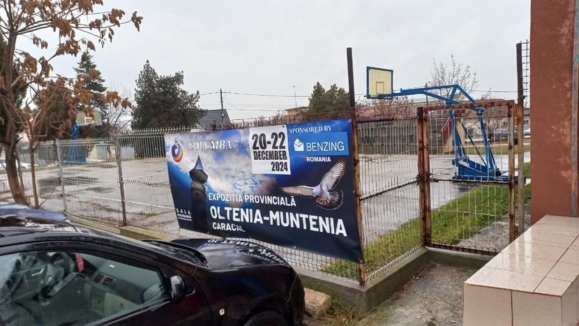 IMG-20241221-WA0066 - 21-12-2024-EXPOZITIE PROVINCIALA OLTENIA-MUNTENIA-COLUMBA CARACAL