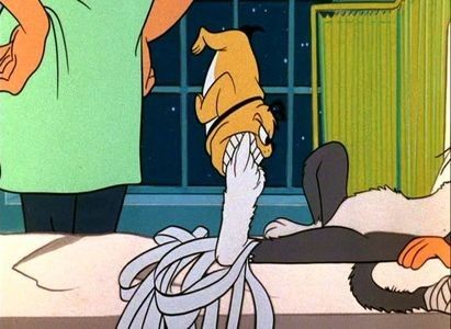 The Cats Me Ouch - 1965 - The Cats Me Ouch