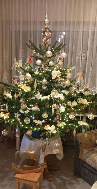  - 2024 - 04 - 2025 - 00 - Iarna