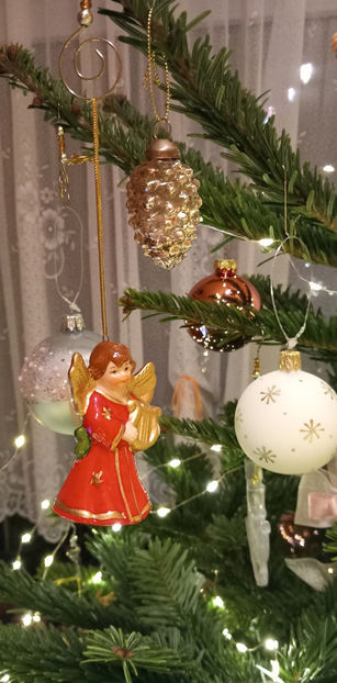  - 2024 - 04 - 2025 - 00 - Iarna