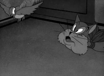Puss N Booty - 1943 - Puss N Booty