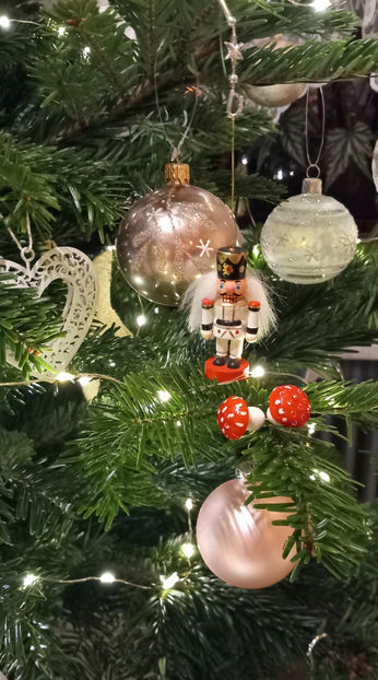 © - 2024 - 04 - 2025 - 00 - Iarna