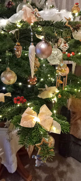 © - 2024 - 04 - 2025 - 00 - Iarna