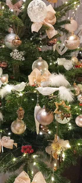  - 2024 - 04 - 2025 - 00 - Iarna