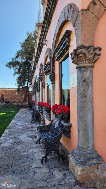 TEQUILA House - --- MEXICO