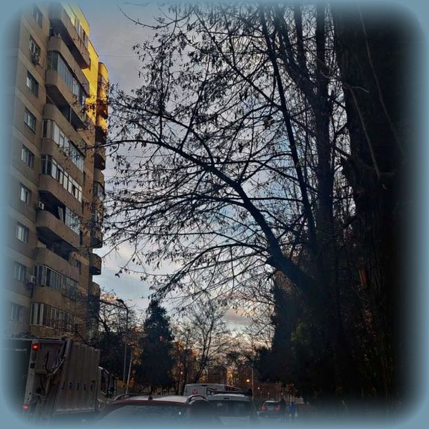 ♡ Day 44 ; 28.12.2024 - Birds of a Feather - STREAK