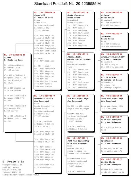 Screenshot_20241229-023825_Chrome - Barcelona internațional