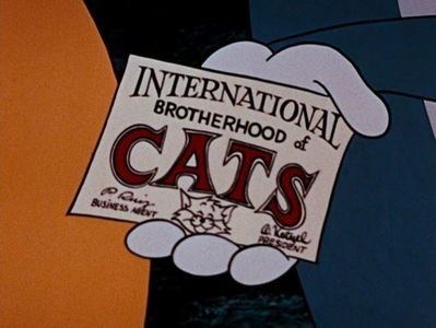 Switchin Kitten - 1961 - Switchin Kitten