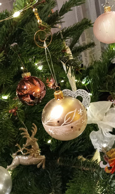  - 2024 - 04 - 2025 - 00 - Iarna