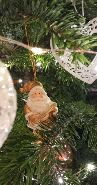  - 2024 - 04 - 2025 - 00 - Iarna