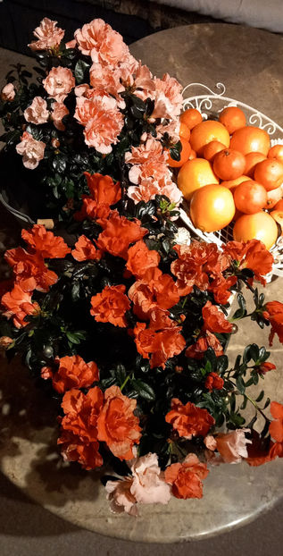  - 2024 - 04 - 2025 - 00 - Iarna