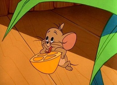 The Cat Above And The Mouse Below - 1964 - The Cat Above And The Mouse Below