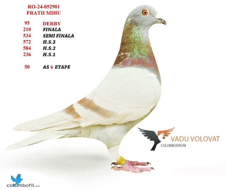  - Rezultate columbodrom 2024