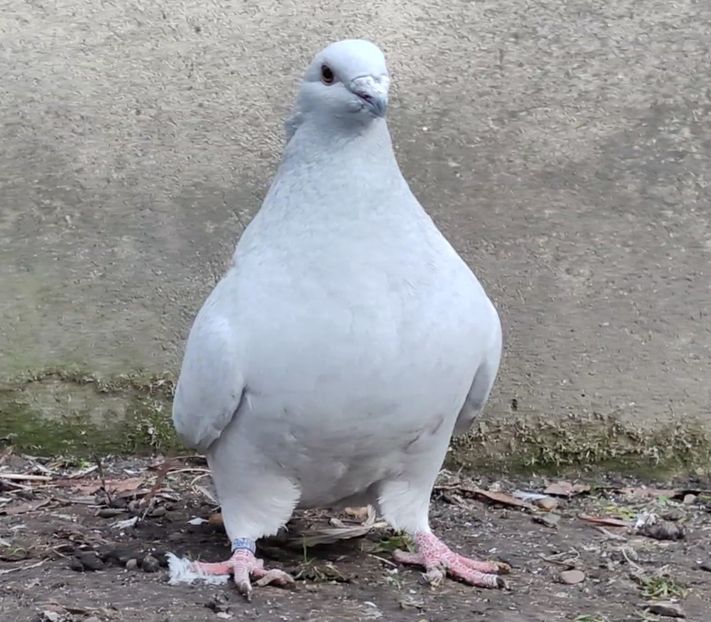 47 ARCHIWUM - k-MLODE 2024 YOUTH