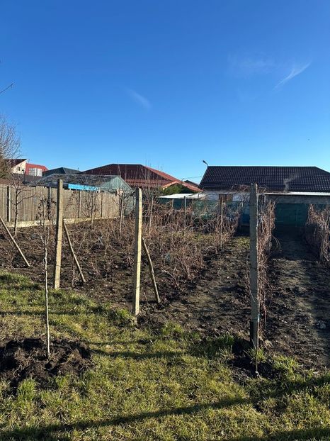 WhatsApp Image 2025-01-01 at 21.21.13_0e0c1514 - 0 00 2024 31 01 2024 Cordun