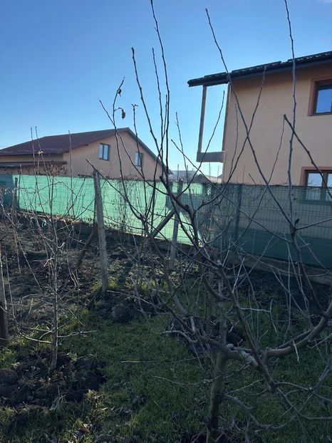 WhatsApp Image 2025-01-01 at 21.21.13_4aa79967 - 0 00 2024 31 01 2024 Cordun