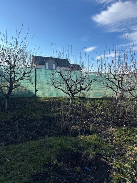 WhatsApp Image 2025-01-01 at 21.21.13_5c149e41 - 0 00 2024 31 01 2024 Cordun