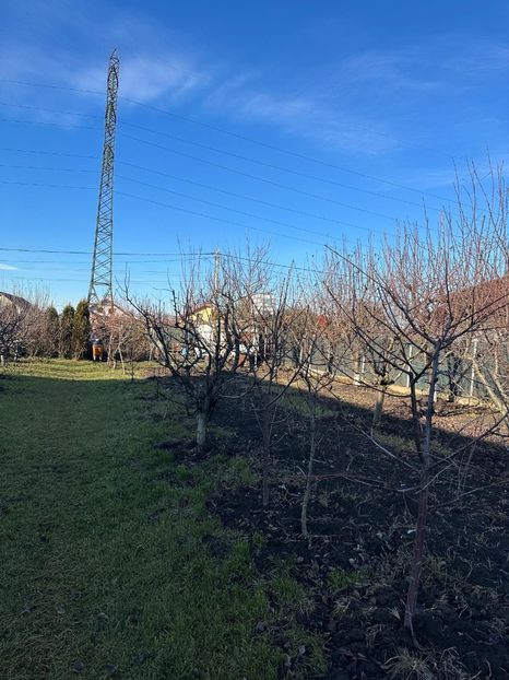 WhatsApp Image 2025-01-01 at 21.21.13_6bbcf52c - 0 00 2024 31 01 2024 Cordun