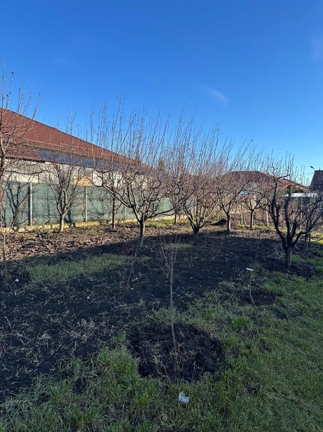 WhatsApp Image 2025-01-01 at 21.21.13_86ea4a41 - 0 00 2024 31 01 2024 Cordun