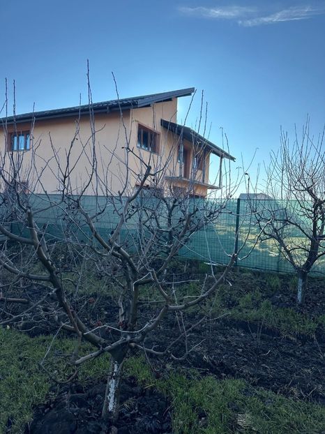 WhatsApp Image 2025-01-01 at 21.21.13_297a2e14 - 0 00 2024 31 01 2024 Cordun