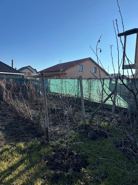 WhatsApp Image 2025-01-01 at 21.21.13_2919e12d - 0 00 2024 31 01 2024 Cordun