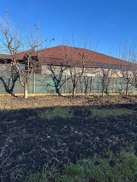 WhatsApp Image 2025-01-01 at 21.21.13_46661122 - 0 00 2024 31 01 2024 Cordun