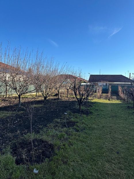 WhatsApp Image 2025-01-01 at 21.21.13_ba19d29d - 0 00 2024 31 01 2024 Cordun