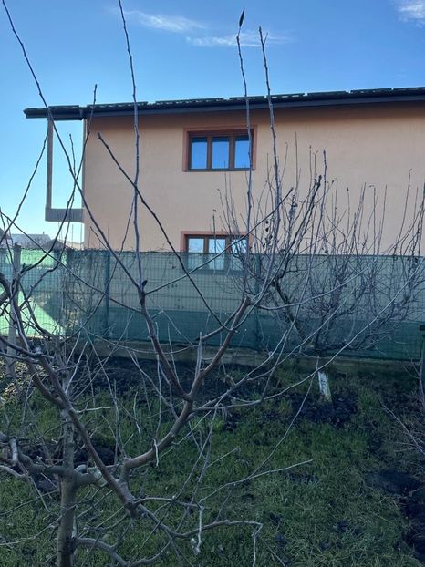 WhatsApp Image 2025-01-01 at 21.21.13_fe65b451 - 0 00 2024 31 01 2024 Cordun