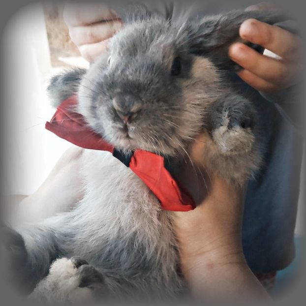 ♡ Day 49 ; 02.01.2025 - Birds of a Feather - STREAK