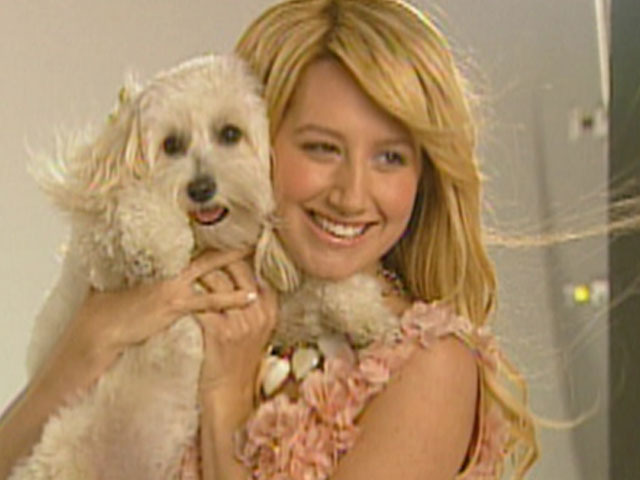 65815_video-227682-access-archives-ashley-tisdale - ashley tisdale