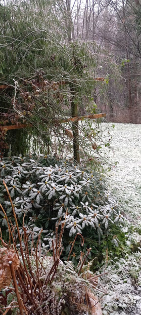  - 2024 - 04 - 2025 - 00 - Iarna