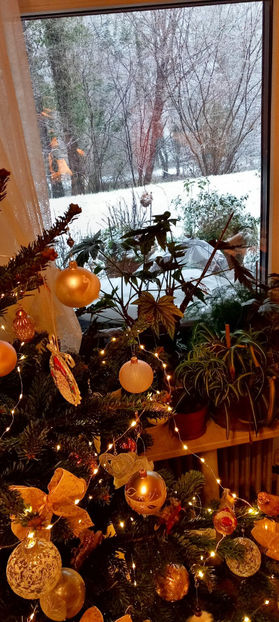  - 2024 - 04 - 2025 - 00 - Iarna