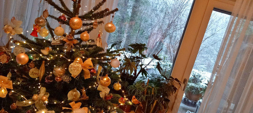  - 2024 - 04 - 2025 - 00 - Iarna