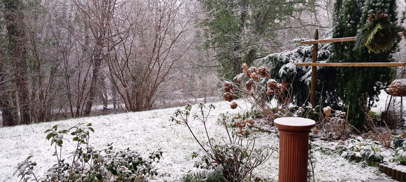  - 2024 - 04 - 2025 - 00 - Iarna