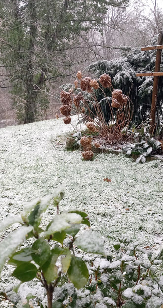  - 2024 - 04 - 2025 - 00 - Iarna