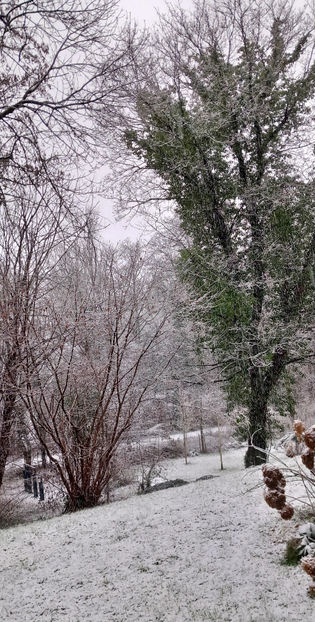  - 2024 - 04 - 2025 - 00 - Iarna