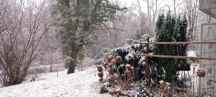  - 2024 - 04 - 2025 - 00 - Iarna