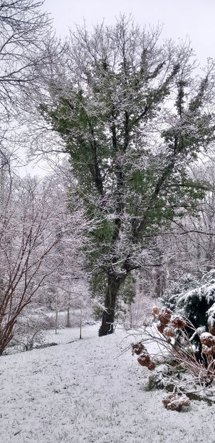  - 2024 - 04 - 2025 - 00 - Iarna