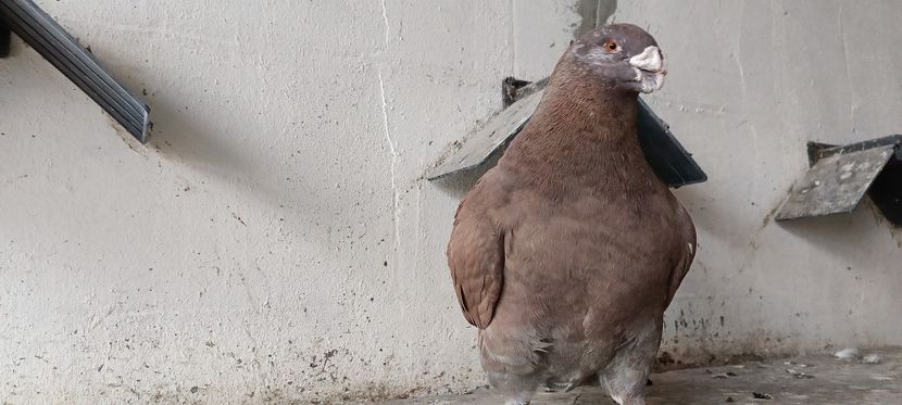 M 2023 - PENTRU 2025 !