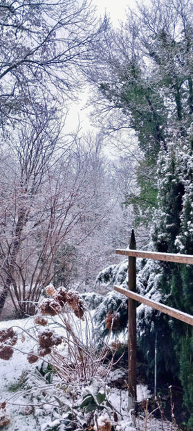  - 2024 - 04 - 2025 - 00 - Iarna