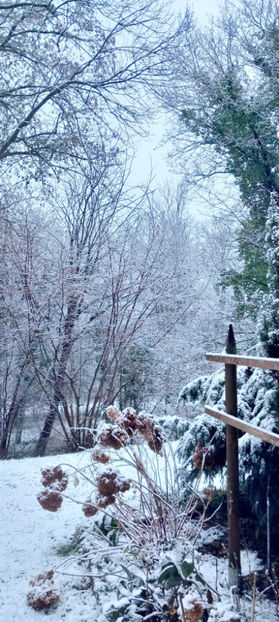  - 2024 - 04 - 2025 - 00 - Iarna